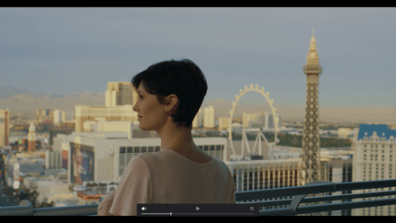Rocket Rooster Film Labs 7201 LUT