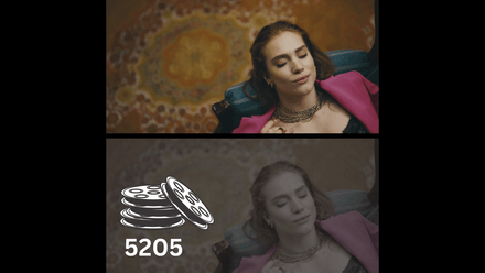 Rocket Rooster Film Labs 5205 LUT
