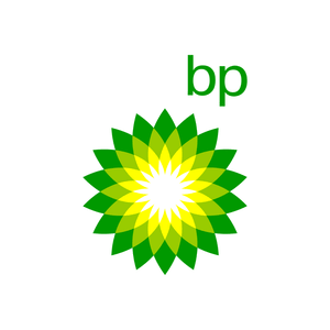 BP Behavioural Questionnaire Skills 2025