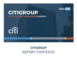 Citigroup - HelloCXO Executive &amp; Account Playbook 2026