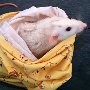 90s Pikachu Neck Gaiter