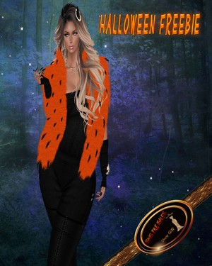 Halloween Freebie•Womans Shrug*CHKN File