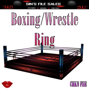 Boxing/Wrestling Ring *Mesh