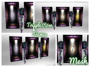 Tripple Rose Frame