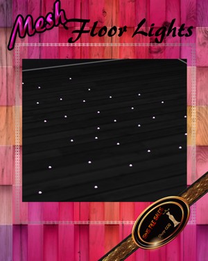 •Floor Lights/Floor Particle Mesh• CHKN File