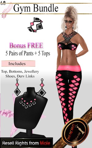 •Gym Bundle + Bonus Pants/Tops•