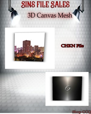 •Canvas 3D Mesh•