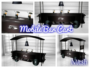 Mobile Bar / Food Cart