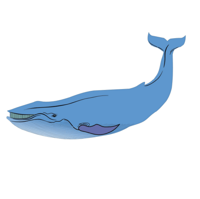 Whale