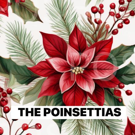 THE POINSETTIAS 