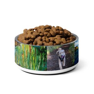 DoggyDish