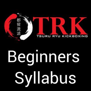 TRK Kickboxing  (Beginners)