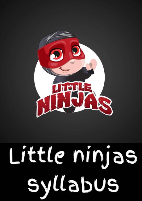 Little Ninjas Syllabus (Beginners)