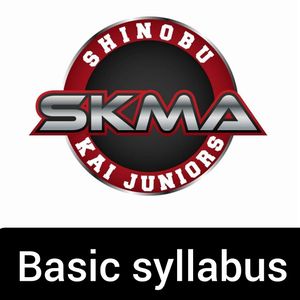 SK JUNIORS SYLLABUS (BEGINNERS)
