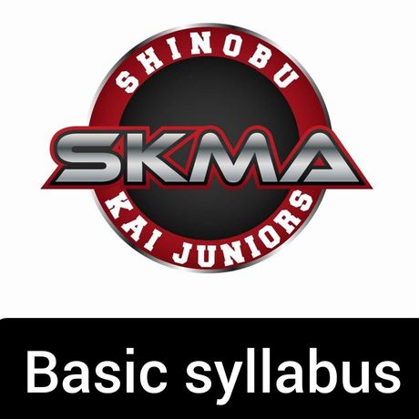 SK JUNIORS SYLLABUS (BEGINNERS)