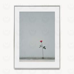 Resilient Beauty