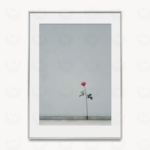Resilient Beauty