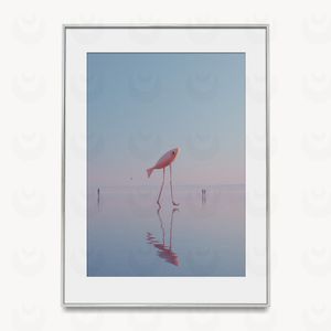 Flamingo Fish
