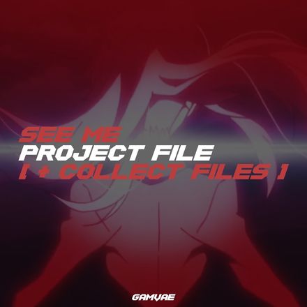 &quot;See me&quot; project file ( +COLLECT FILES )