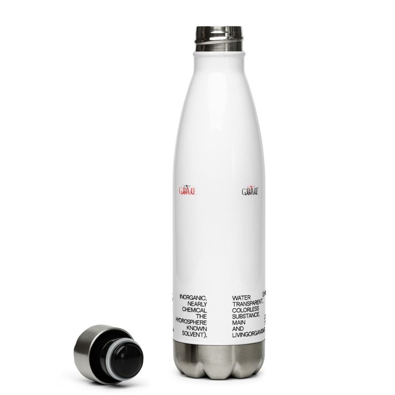 Stainless Steel Water Bottle