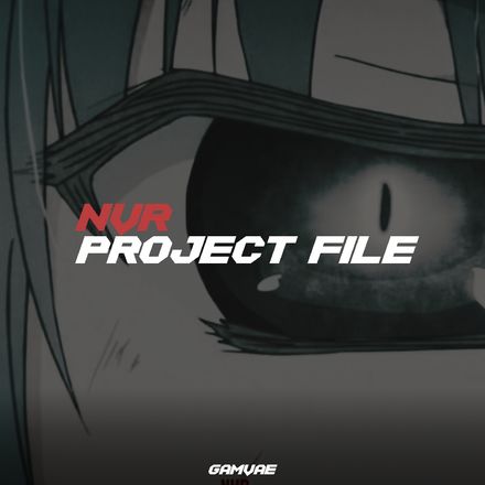 &quot;NVR&quot; Project file