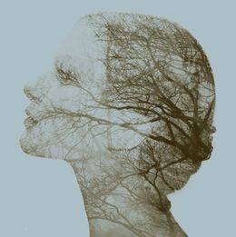 The Brain - Healing Trauma  w/ Steve Schumacher  June 03-06, 2027 