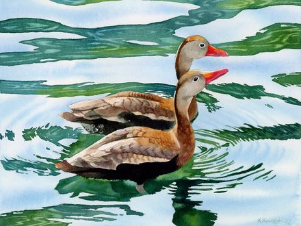 Ducks