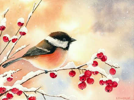 Winter Chickadee