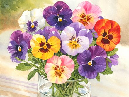 Pansies in a Glass Vase