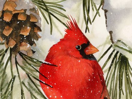 Winter Cardinal