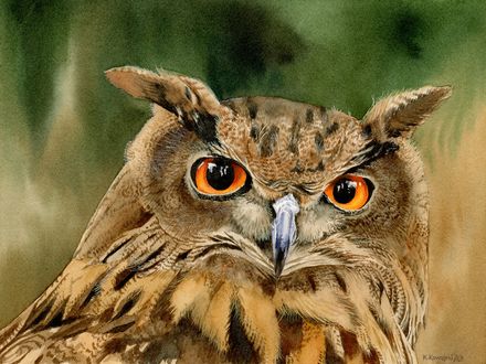 Old Wise Owl