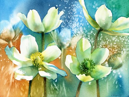 Anemones