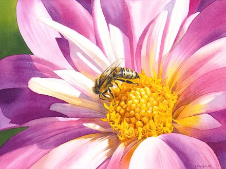Busy Bee