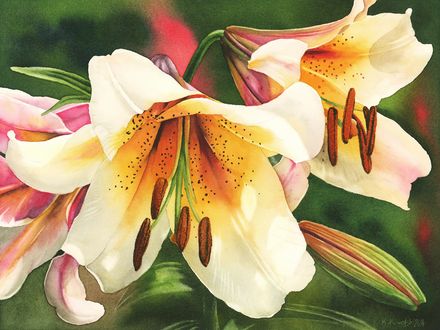Lilies and Light
