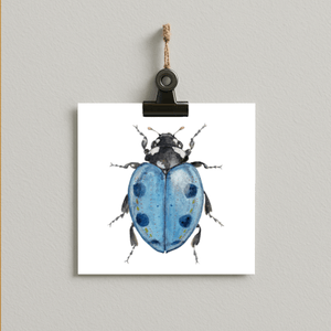 Lady in Blue - bug#0210 - card
