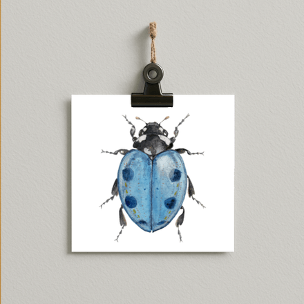 Lady in Blue - bug#0210 - card