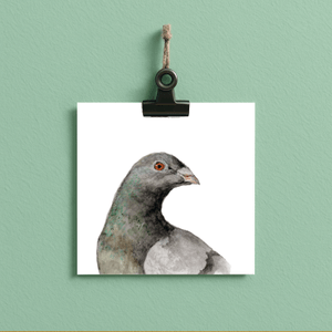 pigeon // bird#0001 - card