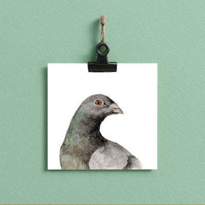 pigeon // bird#0001 - card