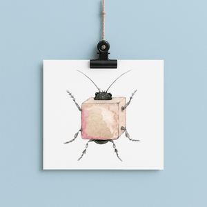 Bug in a Box -  bug#0145 - card