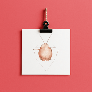 karate peggy // bug#0037 - card