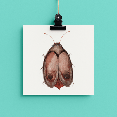 mothER // bug#0038 - card