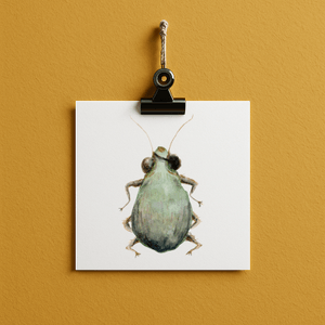 pirate // bug#0044 - card