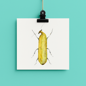 Banana - bug#0220 - card