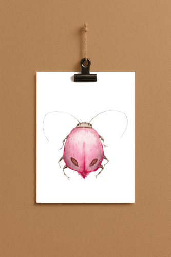 bug#0022 - card DIN a 5