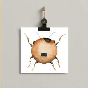 adolpho the brown bug -  bug#0125 - card
