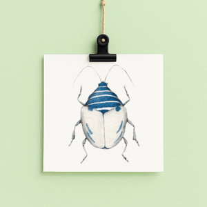 Borkum -  bug#0120 - card