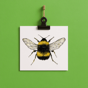 bumblebee // Hummel - card