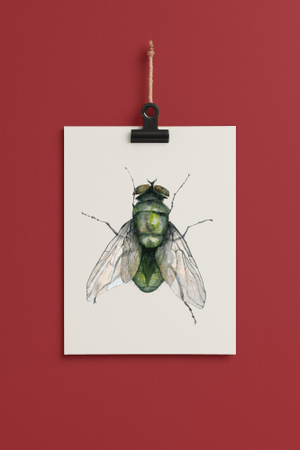 fly#0006 - card DIN a 5