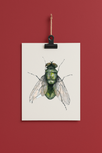 fly#0006 - card DIN a 5