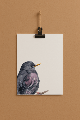 bird#0003 - card DIN a 5